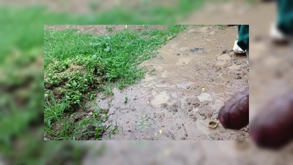 Brijesh 270: Начал размахивать прощание снаружи в память сводной сестры