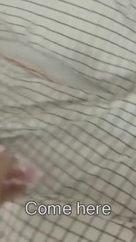 Elegante diosa del sexo y su novio se divierten con juguetes