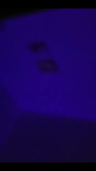 Safada esposa puta quer anal