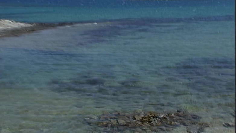 Lesbians and Masturbation: Excesses on the Women's Island Special Movie