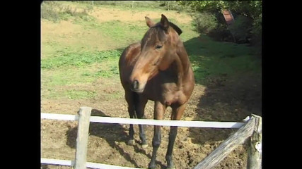 Little World: Dos sexy milfs folladas por el culo y corridas en...