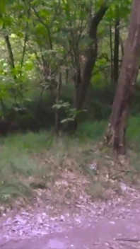 Nice and Long Cumshot, Shirtless, in a Public Forest