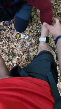 Hisap dan kongkek dalam hutan