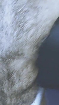검은 양말과 장갑