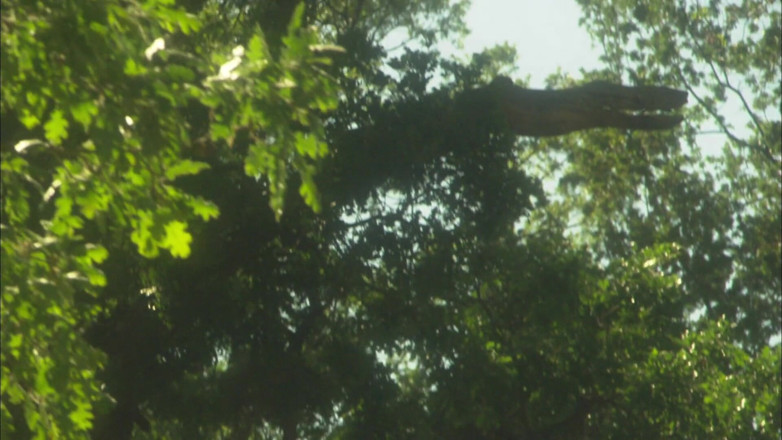 Girl on Girl: Erotic lesbians romance passionately in the wild