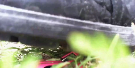 Nicoletta Embassi: Awesome Crushing Video Watches My Feet Smash a Small Toy...