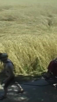 Домінування на свіжому повітрі - королева бдсм