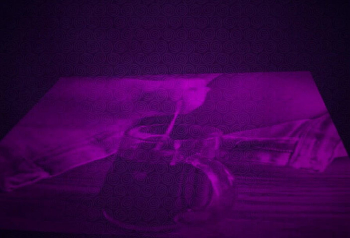 Campsissyboi: Coffee cum CEI for beginners