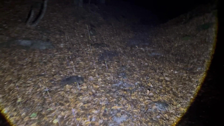 Putarankahotmilf: Các workout điên rồ nhất từ trước đến nay và rách leggings...