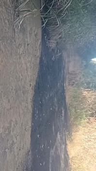 Eu Adoro Gozar No Meio Da Estrada Na Mata