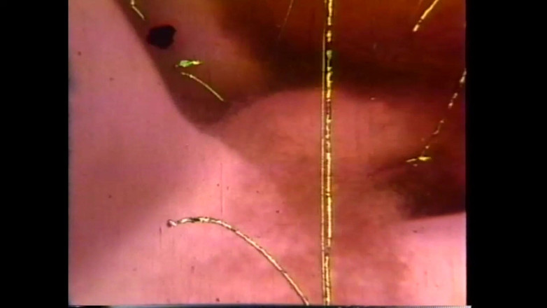 Vintage Megastore Full hd: 阿卡迪亚·莱克与埃里克·爱德华兹相互交往