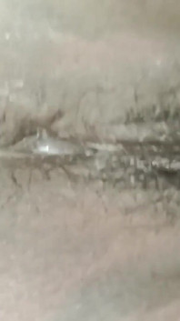 Bhabhi's poesje en zoet water