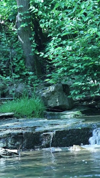 Flexing by the Waterfall, Trying to Sneak a Little Private Moment…