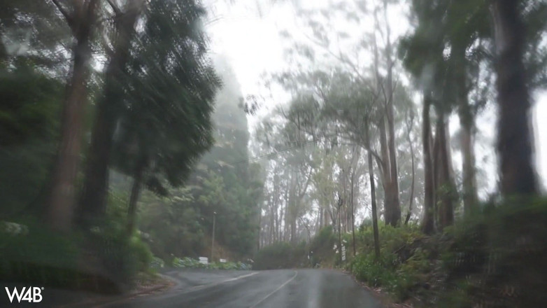 Watch4beauty: Sunny Madeira cu Sapphira