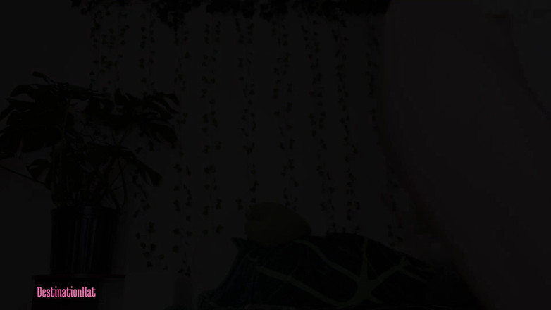 Destination Kat: Er ist im wohnzimmer