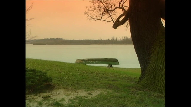 MMV TV - our best full movie: Stories