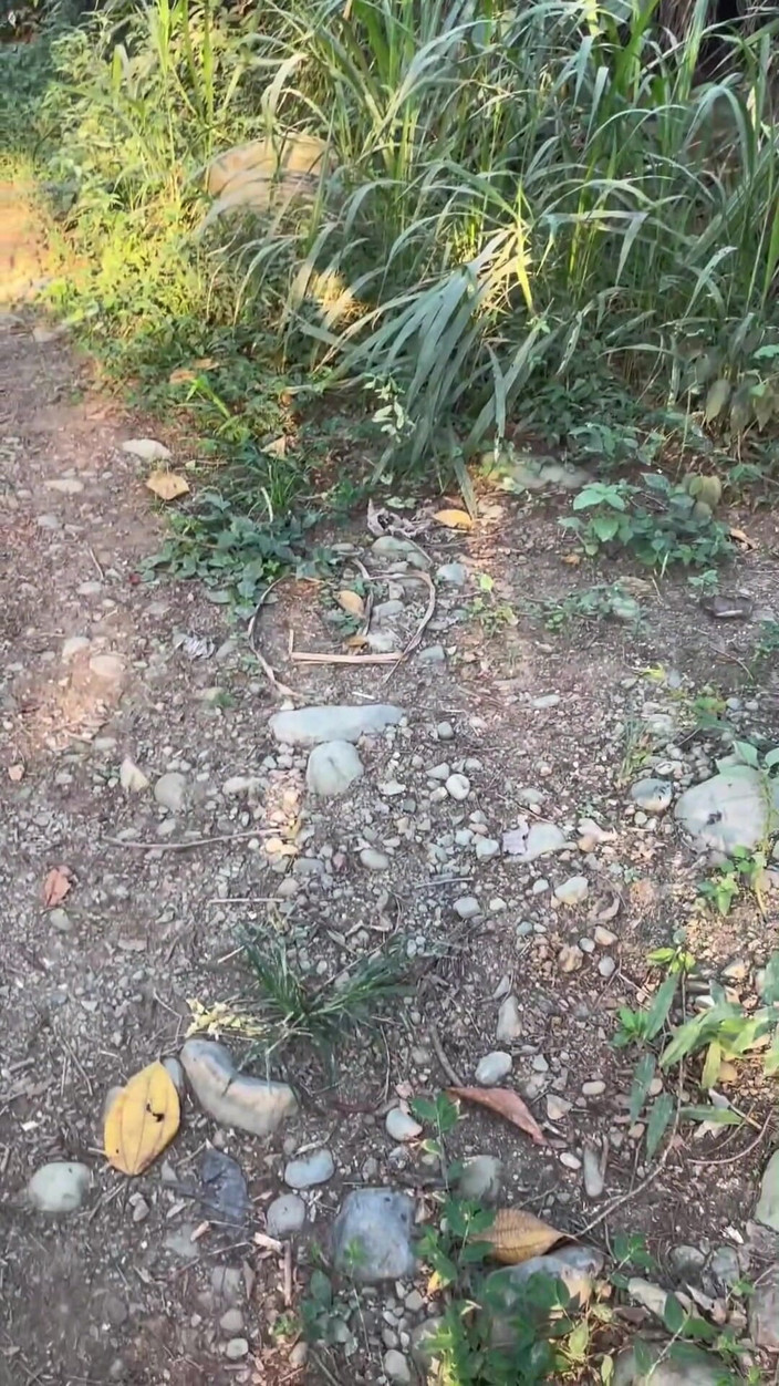 XanderBlackx: Die heiße Brünette lutscht draußen mit viel Intensität meinen riesigen,...