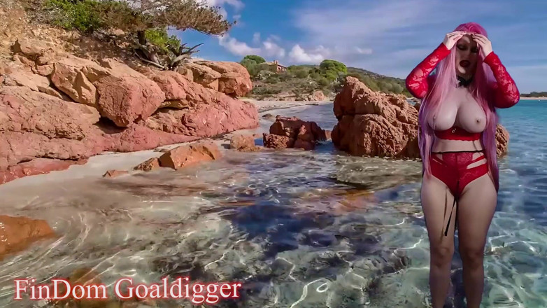 FinDom Goaldigger: Zevk fırtınası