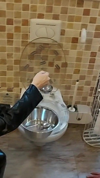 Miss alessa milano lagi asik makan dari toilet bagian 1