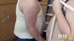 Bear Films: Bearfilms tlusté chlupaté medvědy bez sedla hardcore po rimmingu