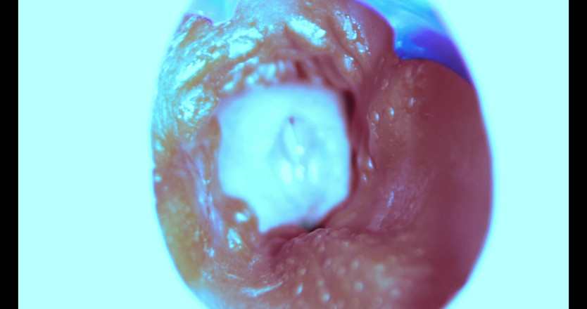 SEXY_GUYBEST: Làm thế nào tôi đụ từ bên trong! Camera bên trong!