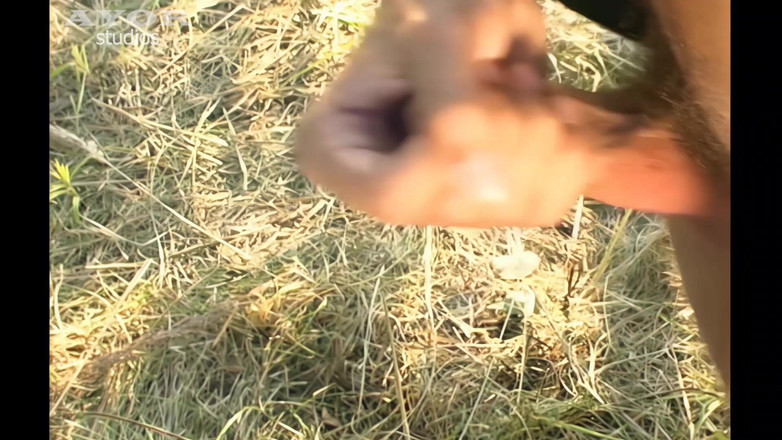 AYOR studios: Nick a laissé un gars le baiser dans le camp