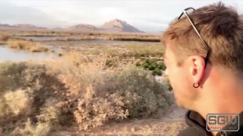 Sparks Go Wild: Road trip and sneaky sexy adventures