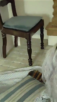 Muie neglijentă și oral adânc în gât în timp ce se cazează în vacanță