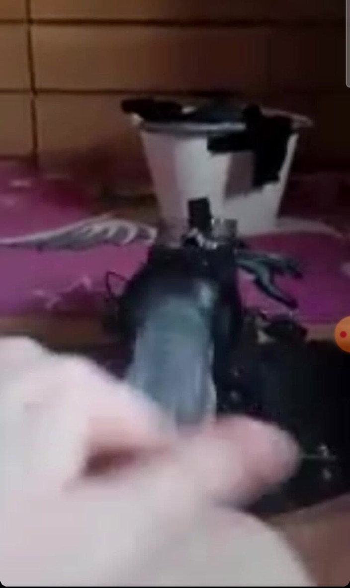 KittieNoOne: Трах-машина крупным планом