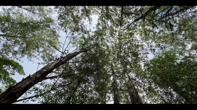 Crypto Mommy: Wil je dat ik zo'n privé anale beurt regel