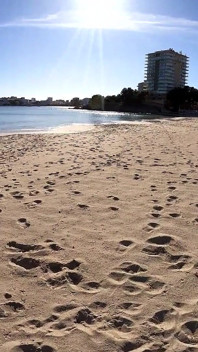Ungeschnitten - eine kubanerin mit riesigem arsch vom oudoor-strand abholen - hinter den kulissen