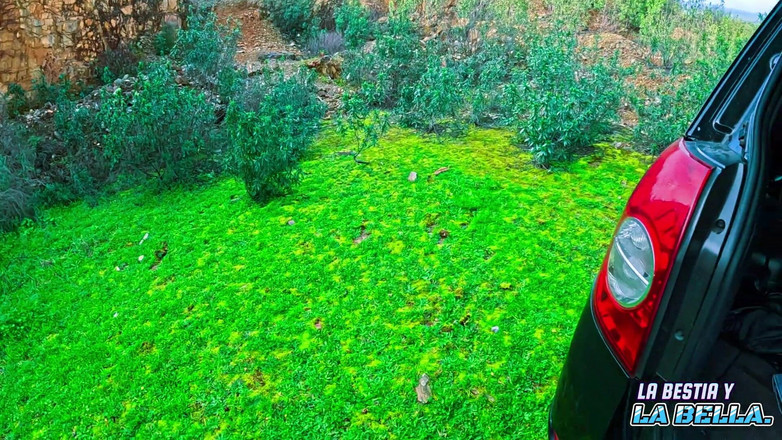 Labestiaylabella: Nieznajomy zabiera mnie do mojego domu w zamian za obciąganie,...