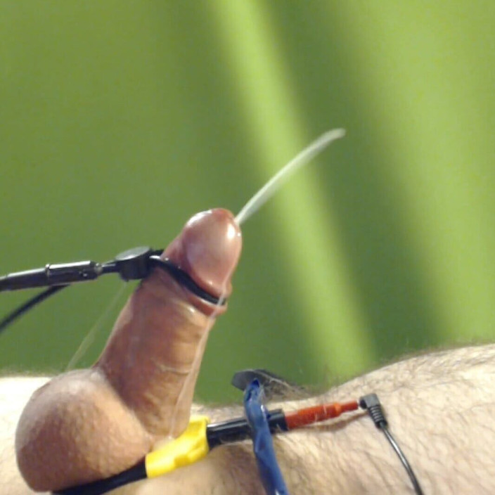 Bestmaleorgasm: Estim bắn tinh