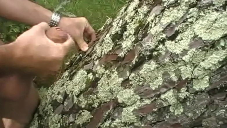 Jess Royan XXX: Sexy dude solo in cruising exhib wood