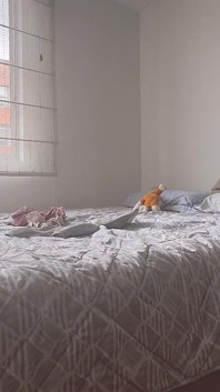 Dos chicas poniéndose la ropa de gimnasio, tocándose y mostrando sus hasta el orgasmo
