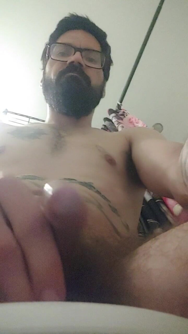 Testing for All (Wolf cock)