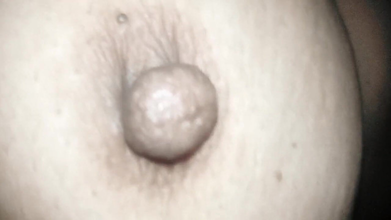 Jhon Hamster: 생일 선물 서프라이즈