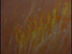 Tranny Media: Ces putes trans prennent une bite et la donnent aussi