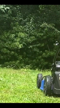 Mowing in a Thong