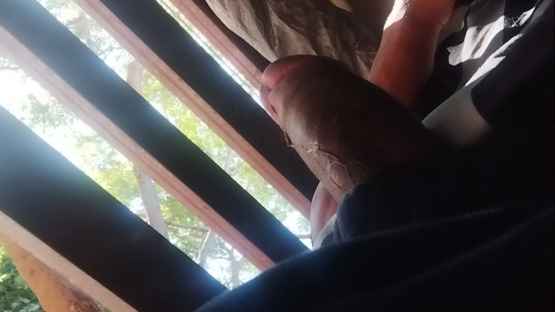 AlexAlejandro13: Votre bonjour erect
