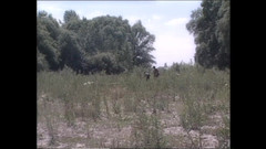 Forte Porno: Andrea Y Frank En La Selva