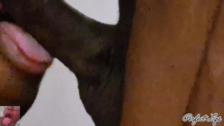 Pperfect lips: Buzele moi suge pula super haotic