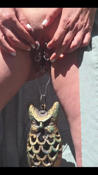 Who Lost the Bird