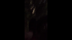 megu2002: Nezávislý trénink č. 22 Expozice procházka po silnici za soumraku