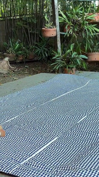 Two Hot Girls Playing by the Pool: an Afternoon Full of Teasing and Lots of Fun