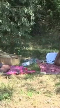 They go for a picnic and find other guys willing to fuck with them