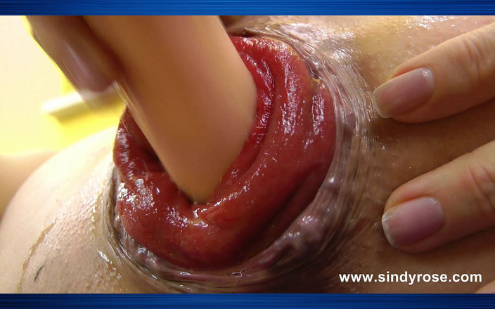 Sindyrose: Sindy rose用鸡巴泵抽她的肛门脱垂，并用虾鸡巴假阳具操她