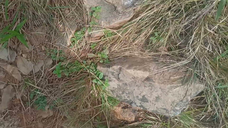 Sano lado: Nepalli açık havada soltni domaltmalı styal seks videosu