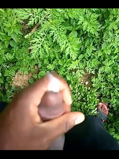 Haydenbbc: 헤이든 bbc