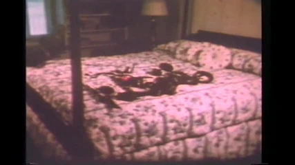 Vintage Usa: Vintage Bondage Porn Master and Slaves Chained (full Movie)